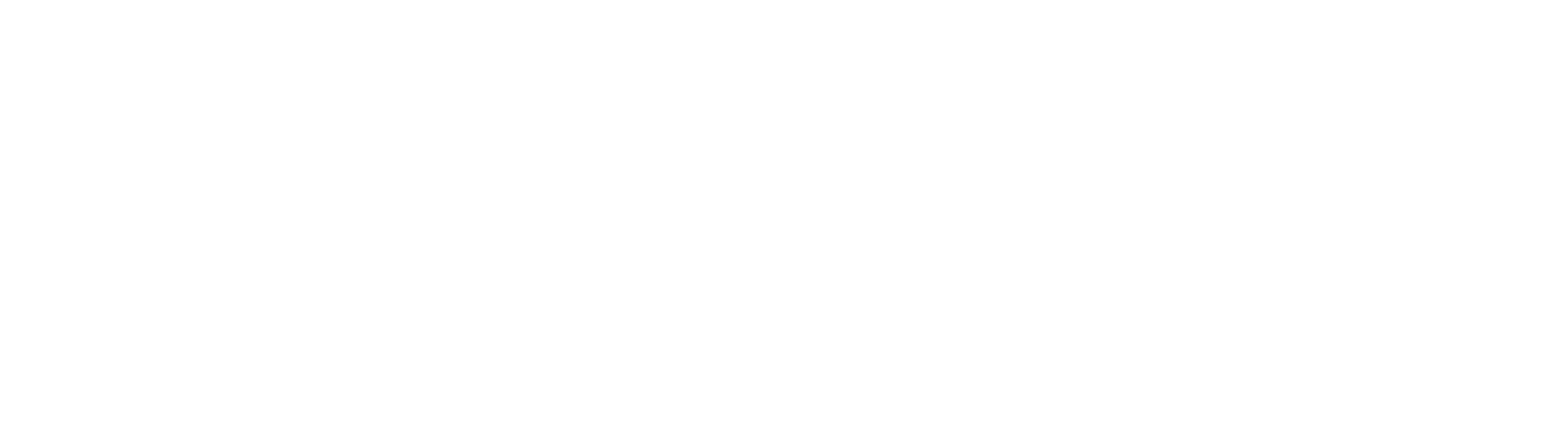 Logo Advanced Energy met tekst in het wit