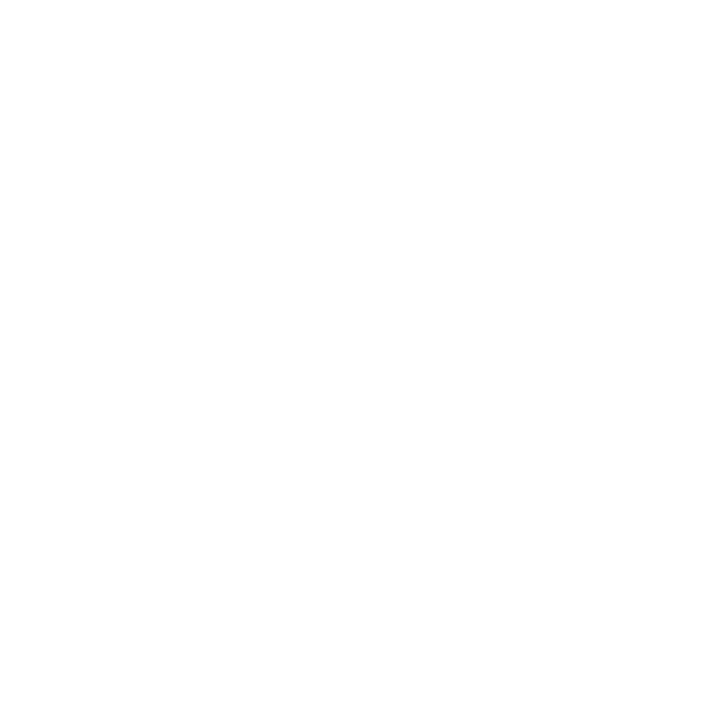 Logo Advanced Energy in het wit