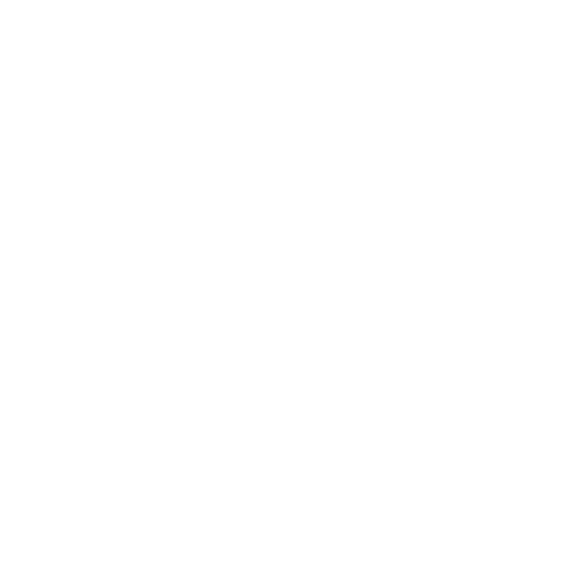 AdvancedEnergy Logo White